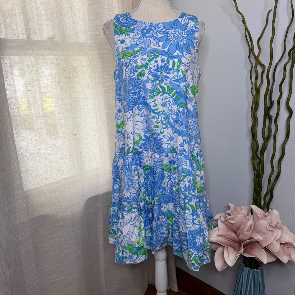 NWT Lilly Pulitzer Trina Dress Frenchie Blue Suns Out Floral Poplin Swing SMALL
